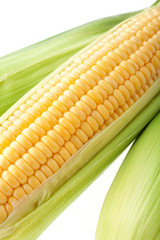 トウモロコシ
