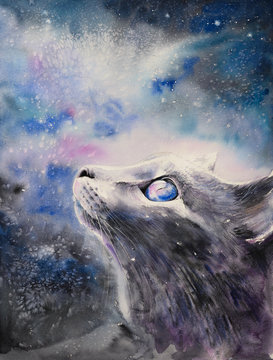  Cat under Blue Galaxy Night Sky watercolor painted. Illustration Background.