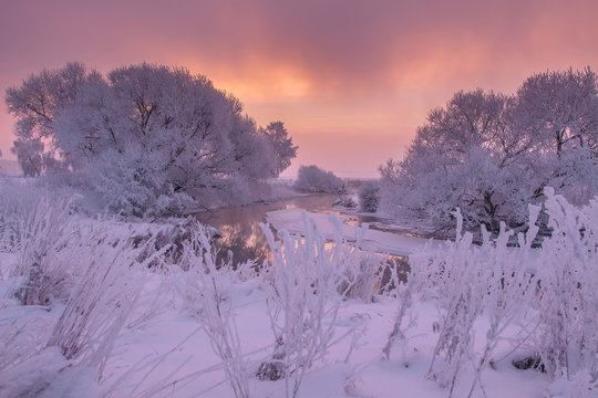 Winter scene at sunrise. Winter nature landscape. Frosty trees on river side. Amazing colorful sky at winter dawn. Scenic winter