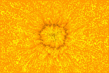 Yellow summer flower design with dotted lines. Abstract flower background illustration.