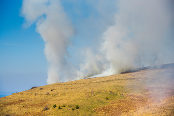 Fire on the field at the spring