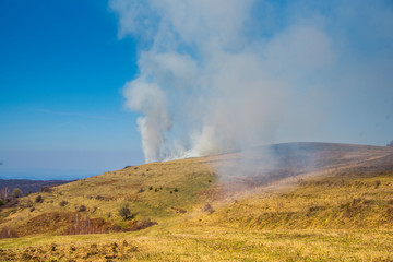 Fire on the field at the spring