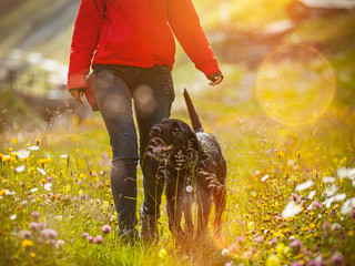 Fototapeta na wymiar Girl walking with her dog on meadow, summer landscape.