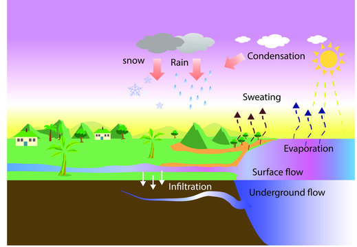 water cycle. evaporation and rain. The sun, which drives the water cycle, heats water in oceans and seas. geography