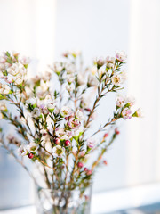 bouquet of flowers in a vase on white background