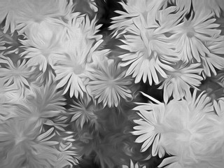 Daisies Illustration in Black and White