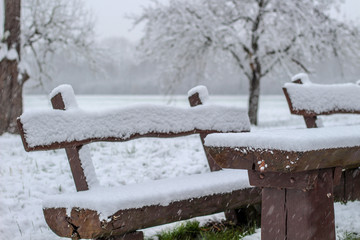 Winter