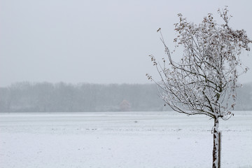 Winter