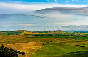 Wind Turbines Seen From Steptoe Butte State Park, Washington. Wind power on the Palouse, a long-unused resource, has become part of a broader network of alternative energy consisting of 58 turbines.