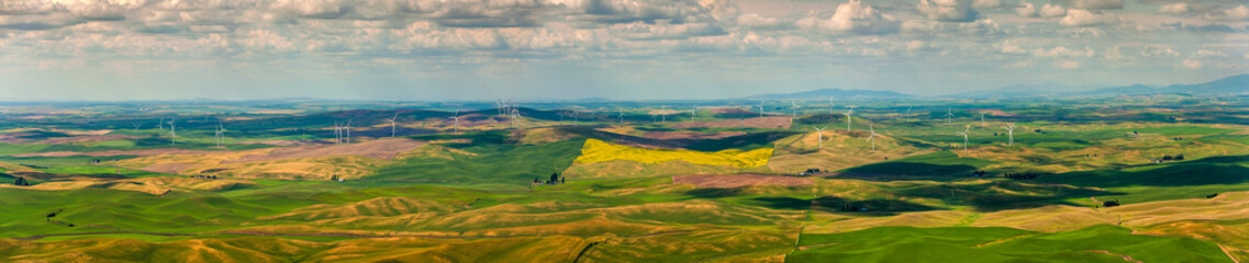 Wind Turbines Seen From Steptoe Butte State Park, Washington. Wind power on the Palouse, a...