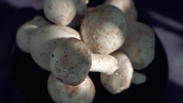 Group of fresh mushrooms rotating on black background. Button mushroom, white mushroom or champignon mushroom. Vegetarian food concept