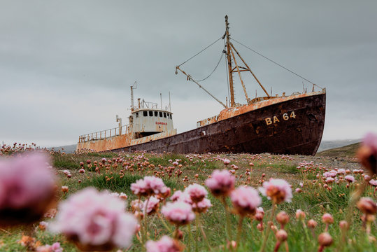 Abandoned fishing boat Gardar BA 64 on the shore of fjord in western Iceland, Europe