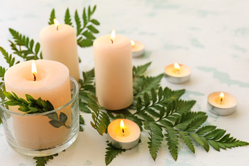 Beautiful burning candles with fern on light background