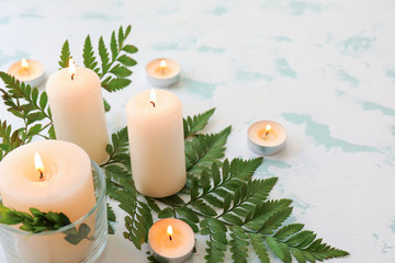 Beautiful burning candles with fern on light background