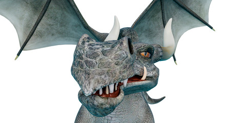 dragon cartoon front view