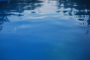 Close up of Swimming Pool Water