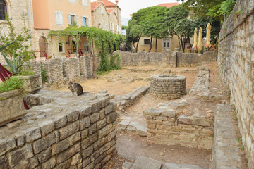 Budva, Old town, Montenegro, Europe