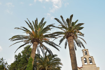Budva, Old town, Montenegro, Europe