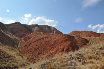 Hilly and mountainous steppe covered with vegetation on a sunny summer day. Rare clouds in the blue sky. Concept: hot day.