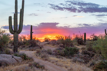 Desert Sunrise Along A Hiking Trail In Scottsdale, Arizona
