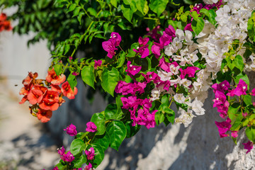 Sea landscape in Greece