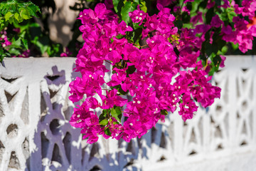 Sea landscape in Greece