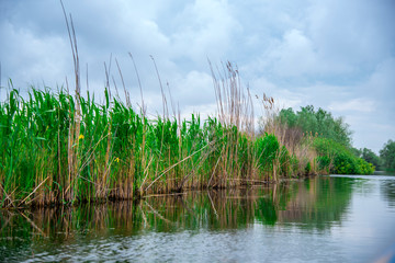 Danube delta landscape