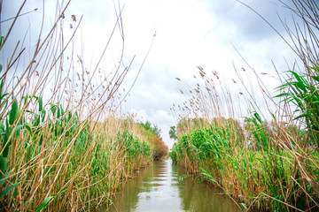 Obraz premium Danube Delta view