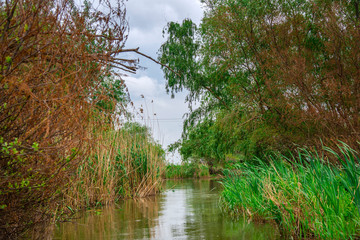 Danube Delta view
