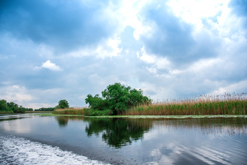 Fototapeta na wymiar Landscape in Danube Delta