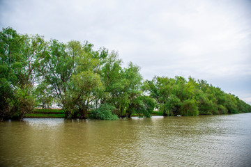 Landscape in Danube Delta