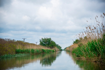 Landscape in Danube Delta