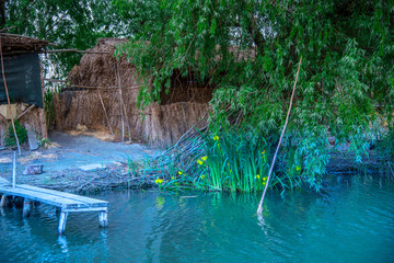 Danube Delta view