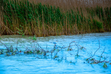 Danube Delta view