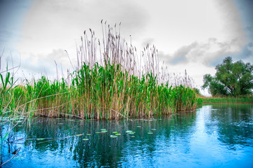 Danube delta landscape