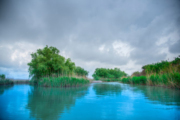 Danube delta landscape