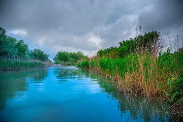 Danube delta landscape