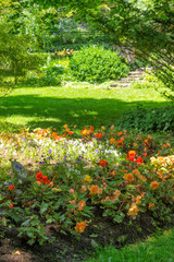 Garden Bed wit Tuberous Begonias