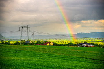 Spring landscape