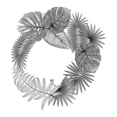Beautiful wreath of tropical leaves palm. Vector illustration.