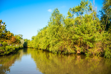 Fototapeta na wymiar Danube Delta