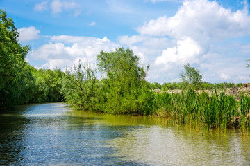 Fototapeta premium Danube Delta