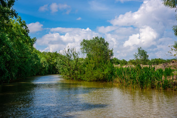 Fototapeta premium Danube Delta