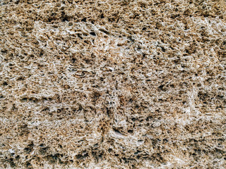 Old wall of cinder block made of ocher shell rock close up. The texture of the stone surface.