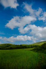 Springtime landscape