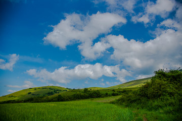 Obraz premium Springtime landscape