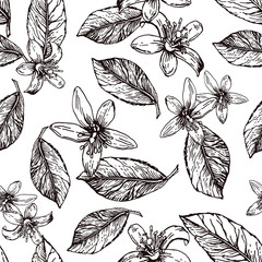 Lemon Sketch Pattern