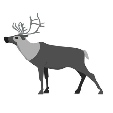 Reindeer. Image isolated on white background. Vector graphics.