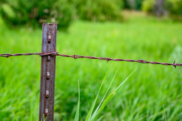 Metal T post with barbed wire fencing along edge of pasture field