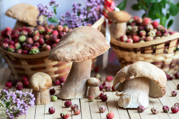 White mushrooms, boletus brought from a hike in the forest laid out on a natural wooden table surrounded by wild berries. Two baskets filled with ripe wild strawberries adorn the background.